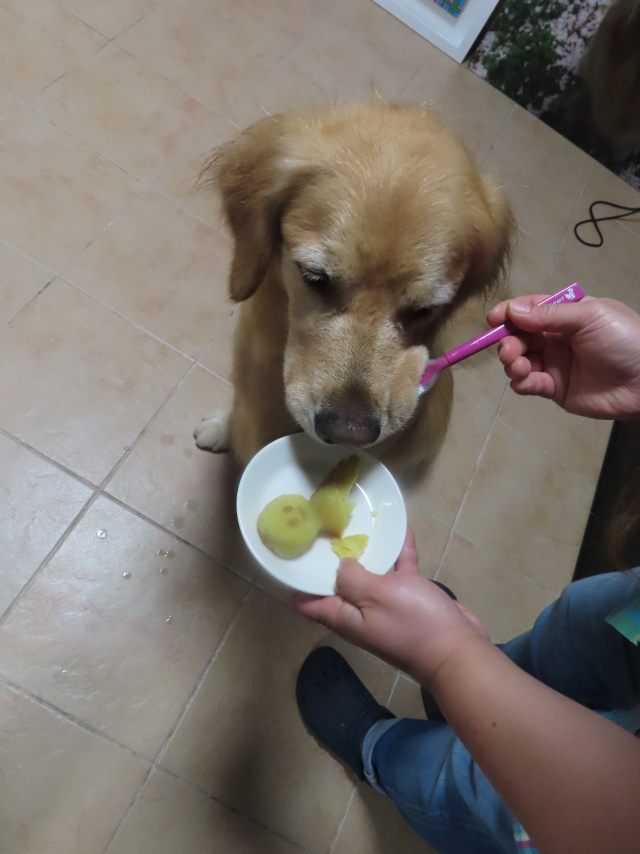 ファイル 8570-5.jpg