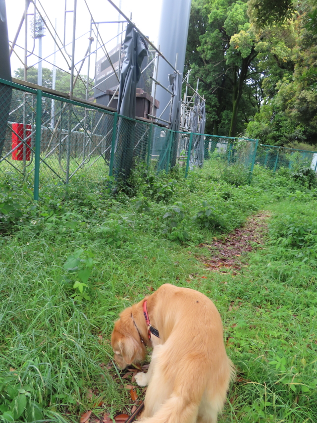 ファイル 8571-3.jpg