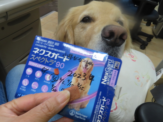 ファイル 8572-5.jpg