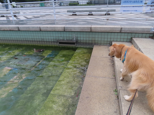 ファイル 8573-2.jpg