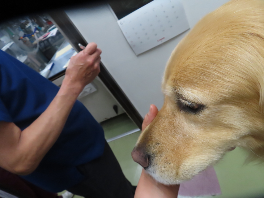 ファイル 8575-2.jpg