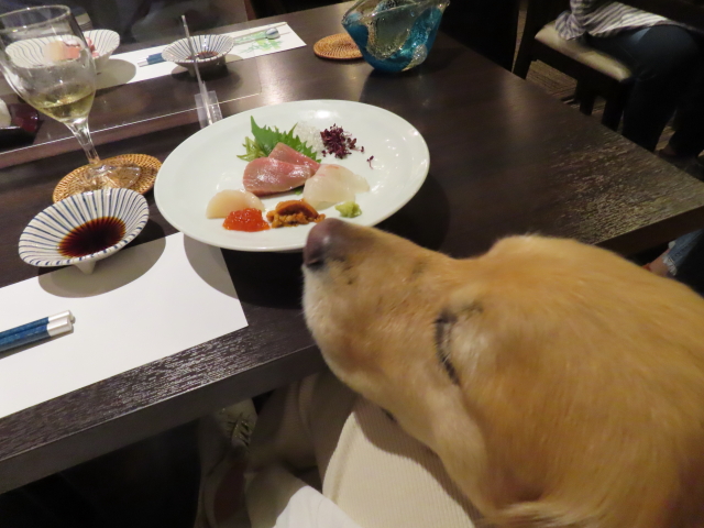 ファイル 8576-2.jpg