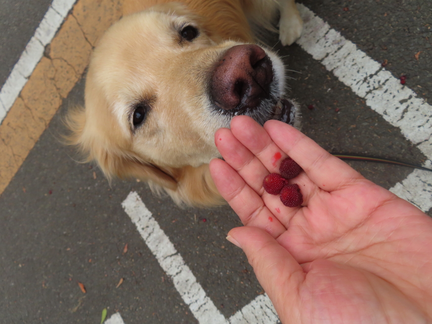 ファイル 8577-3.jpg