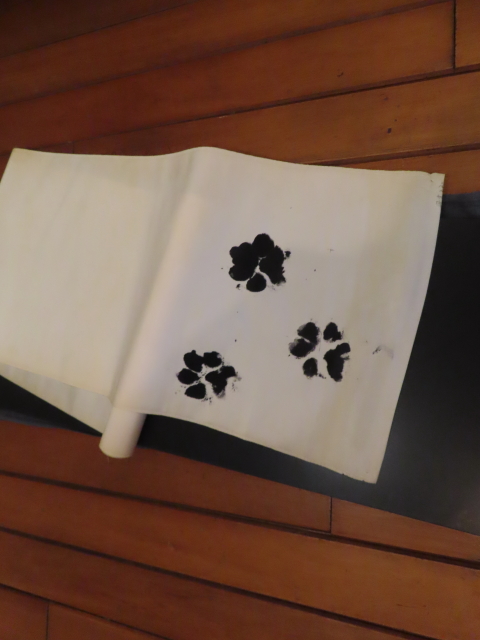 ファイル 8578-1.jpg