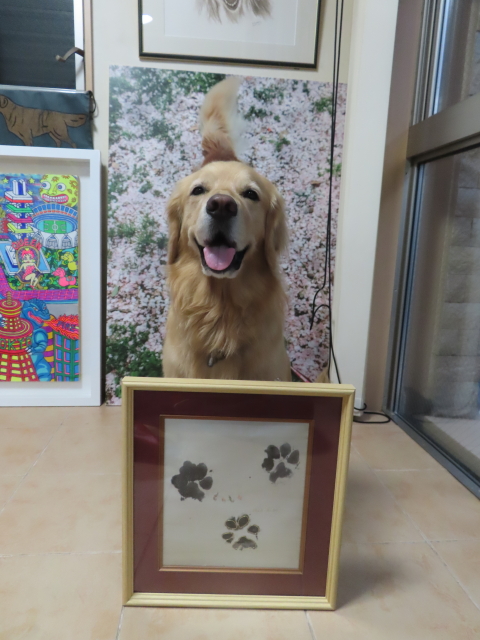 ファイル 8578-5.jpg