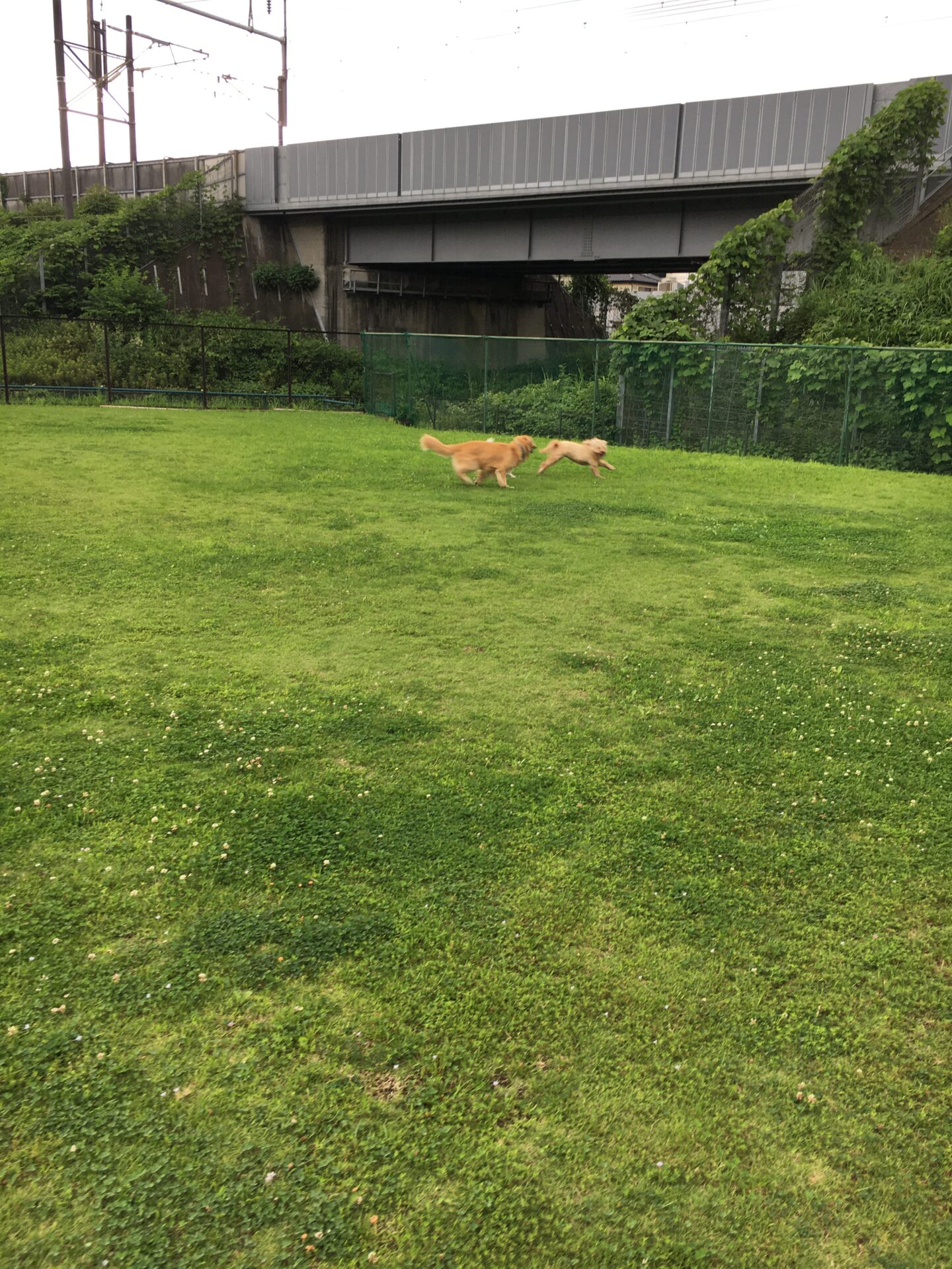 ファイル 8579-2.jpeg