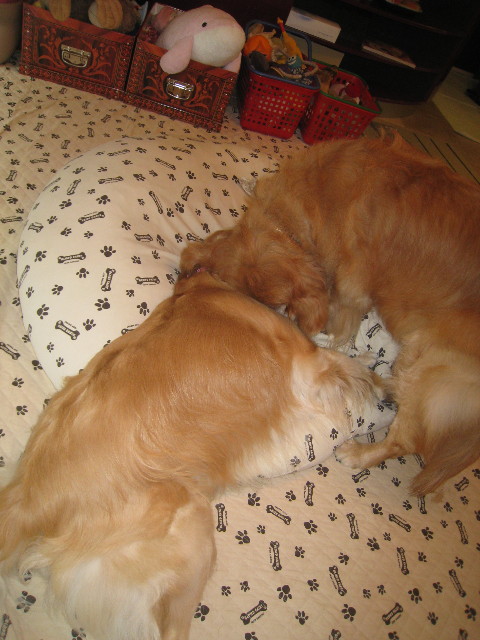 ファイル 858-2.jpg