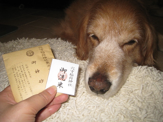 ファイル 858-3.jpg