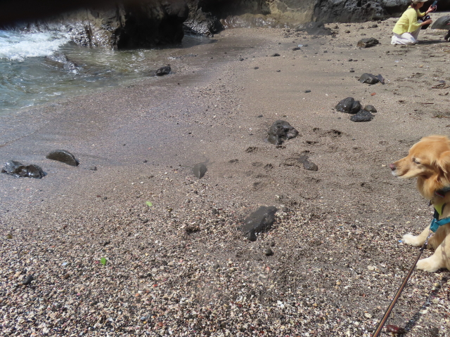 ファイル 8580-4.jpg