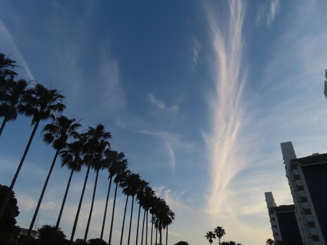 ファイル 8581-1.jpg