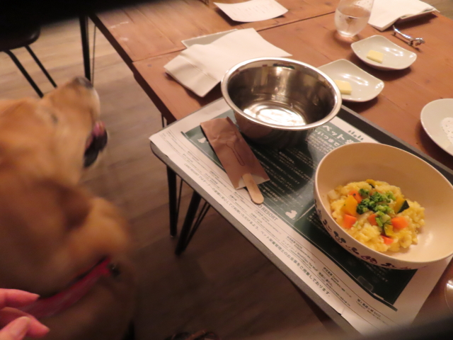 ファイル 8581-2.jpg