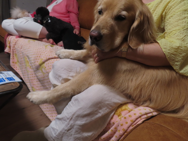 ファイル 8581-3.jpg