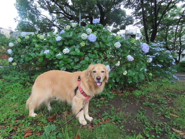 ファイル 8582-3.jpg