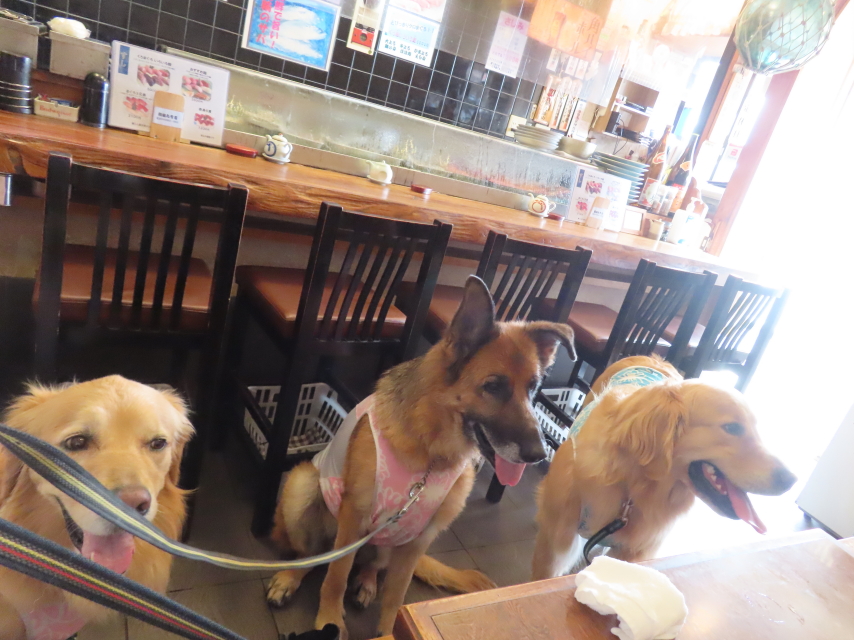 ファイル 8583-3.jpg