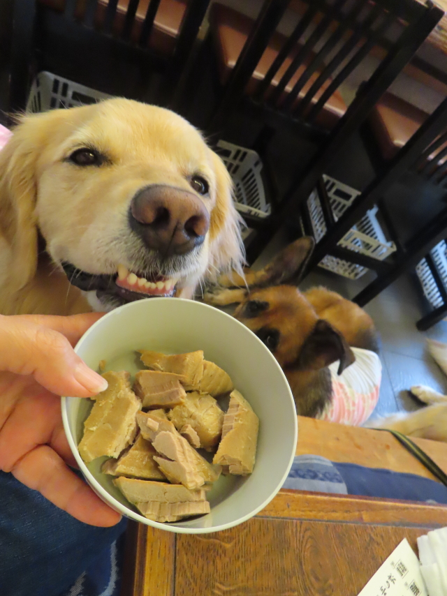 ファイル 8583-4.jpg