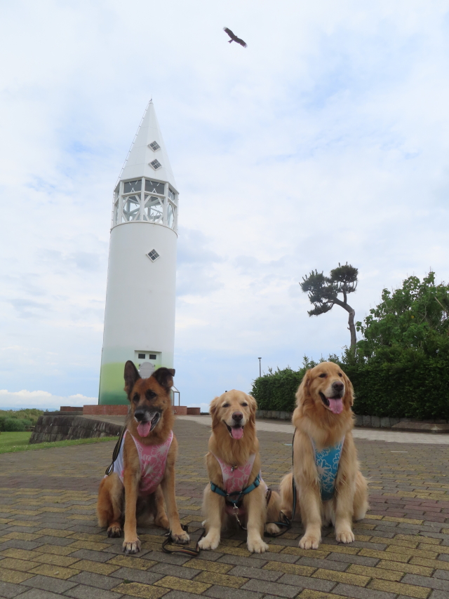 ファイル 8584-4.jpg