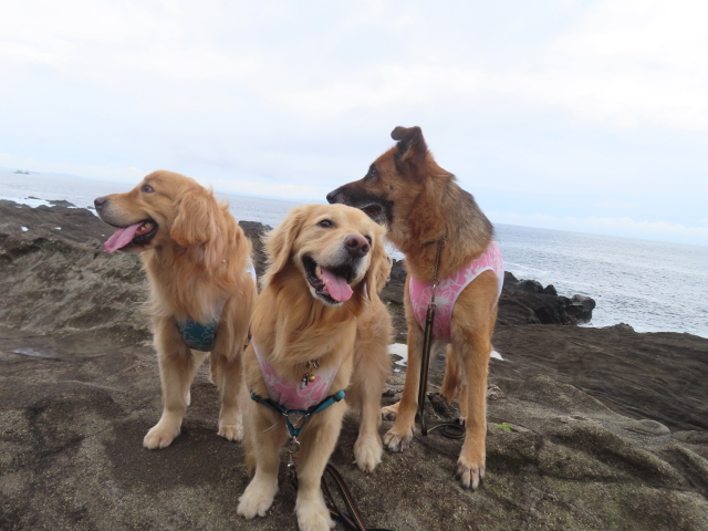 ファイル 8584-5.jpg