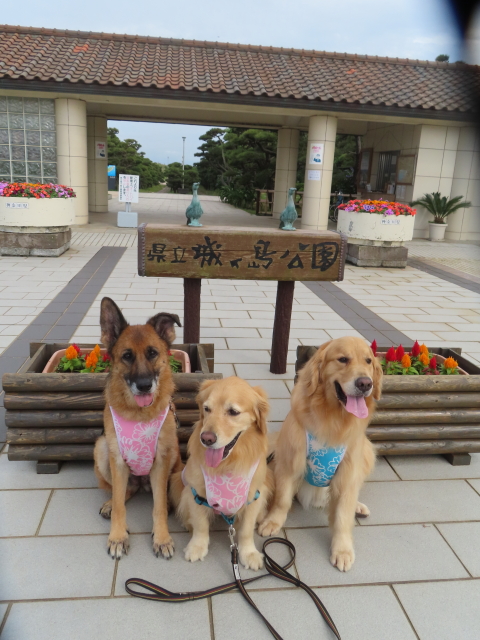 ファイル 8585-1.jpg