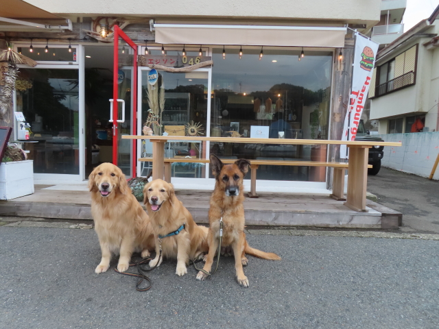 ファイル 8585-5.jpg