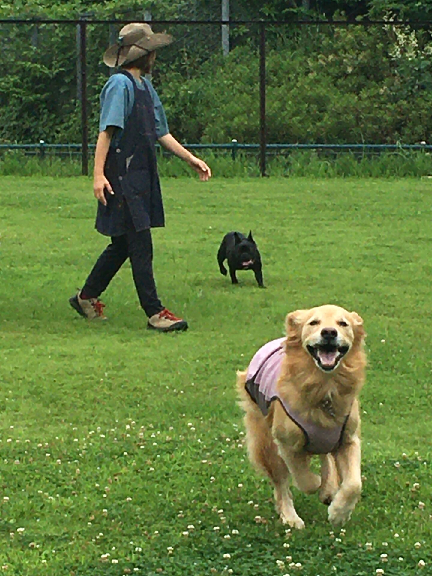 ファイル 8587-1.jpeg