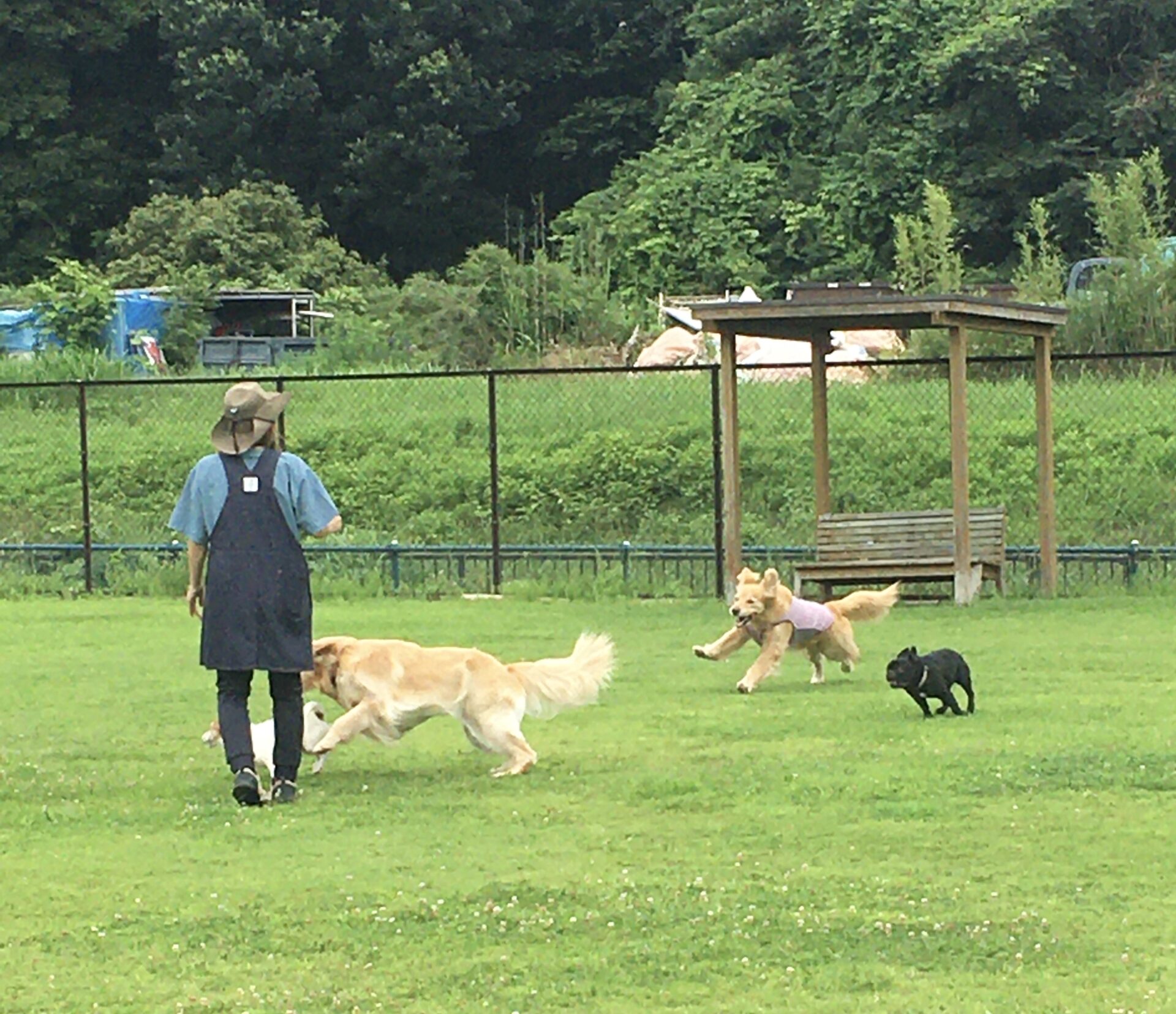 ファイル 8587-3.jpeg