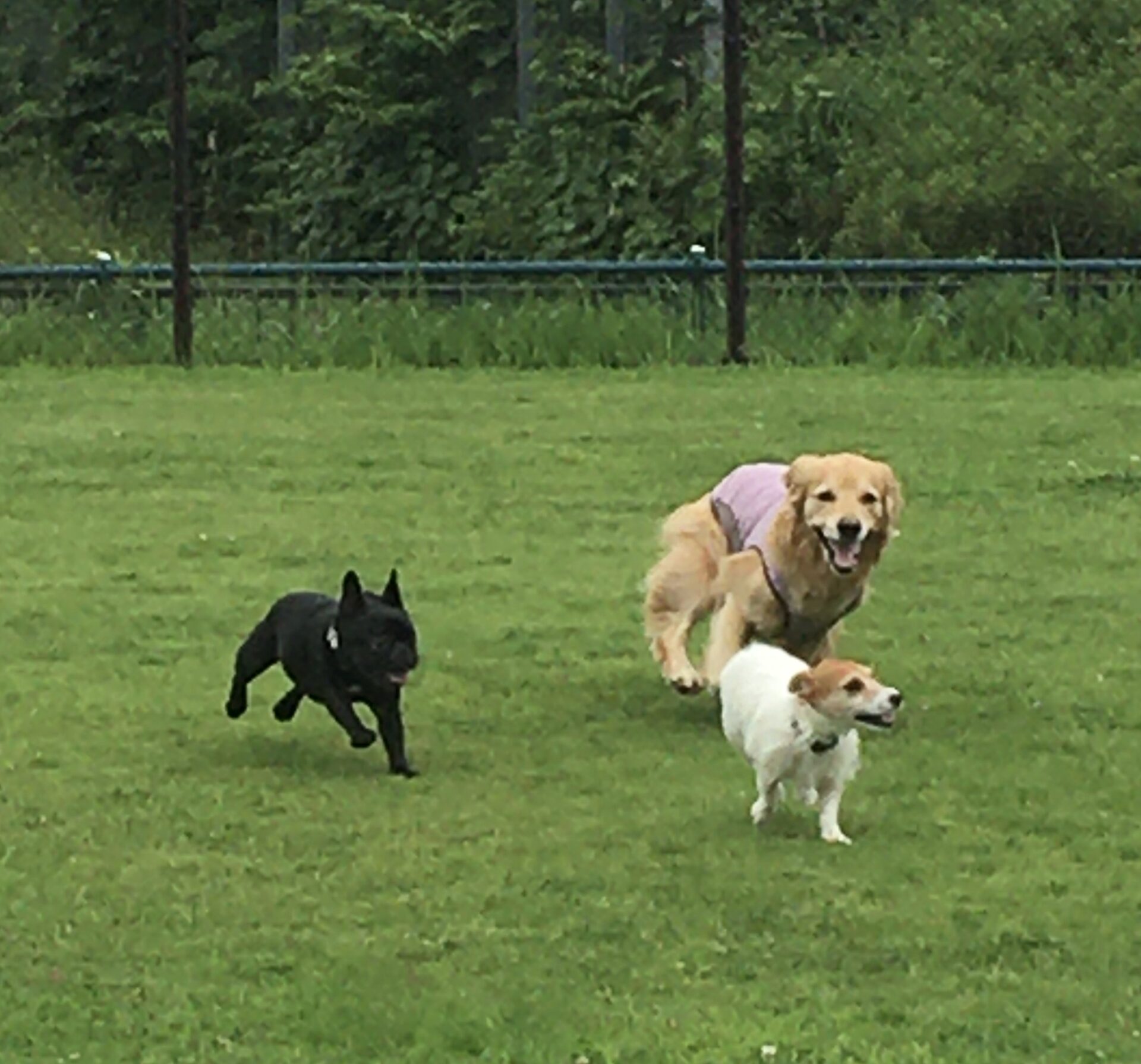 ファイル 8587-4.jpeg