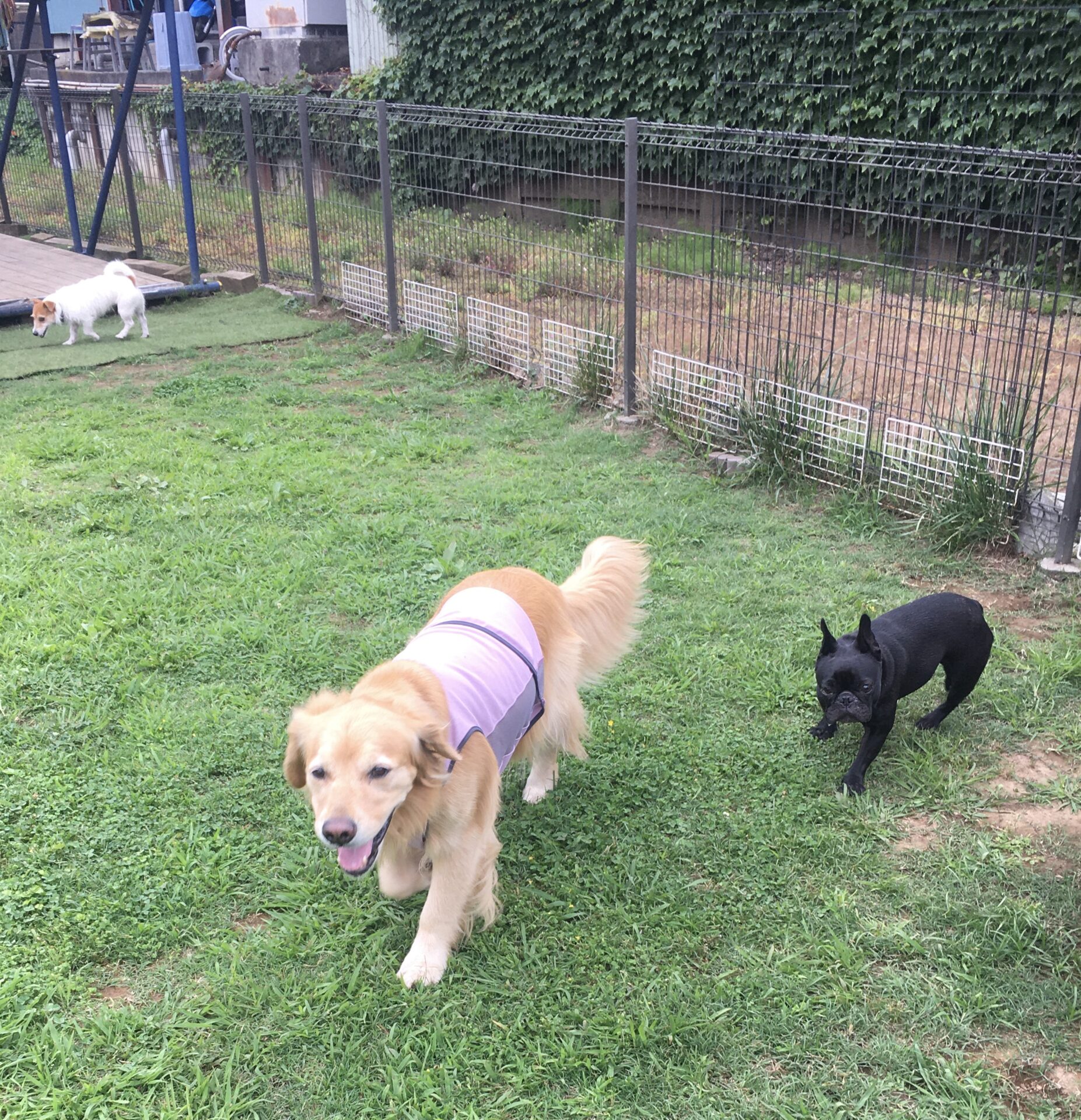 ファイル 8587-5.jpeg