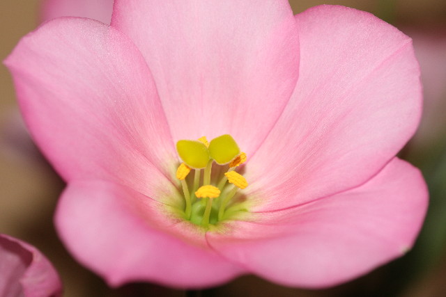 ファイル 859-1.jpg