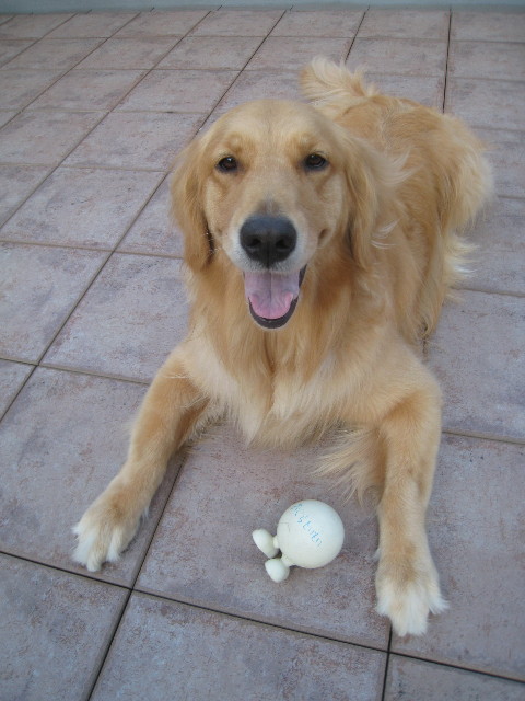 ファイル 859-2.jpg