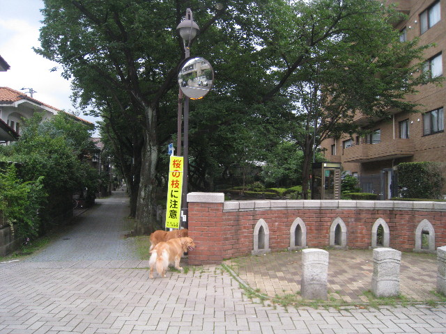 ファイル 859-5.jpg