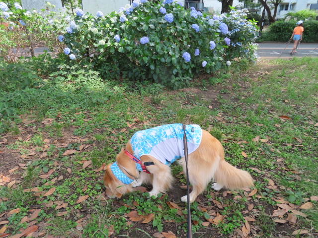 ファイル 8590-3.jpg