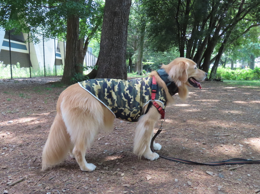 ファイル 8590-4.jpg