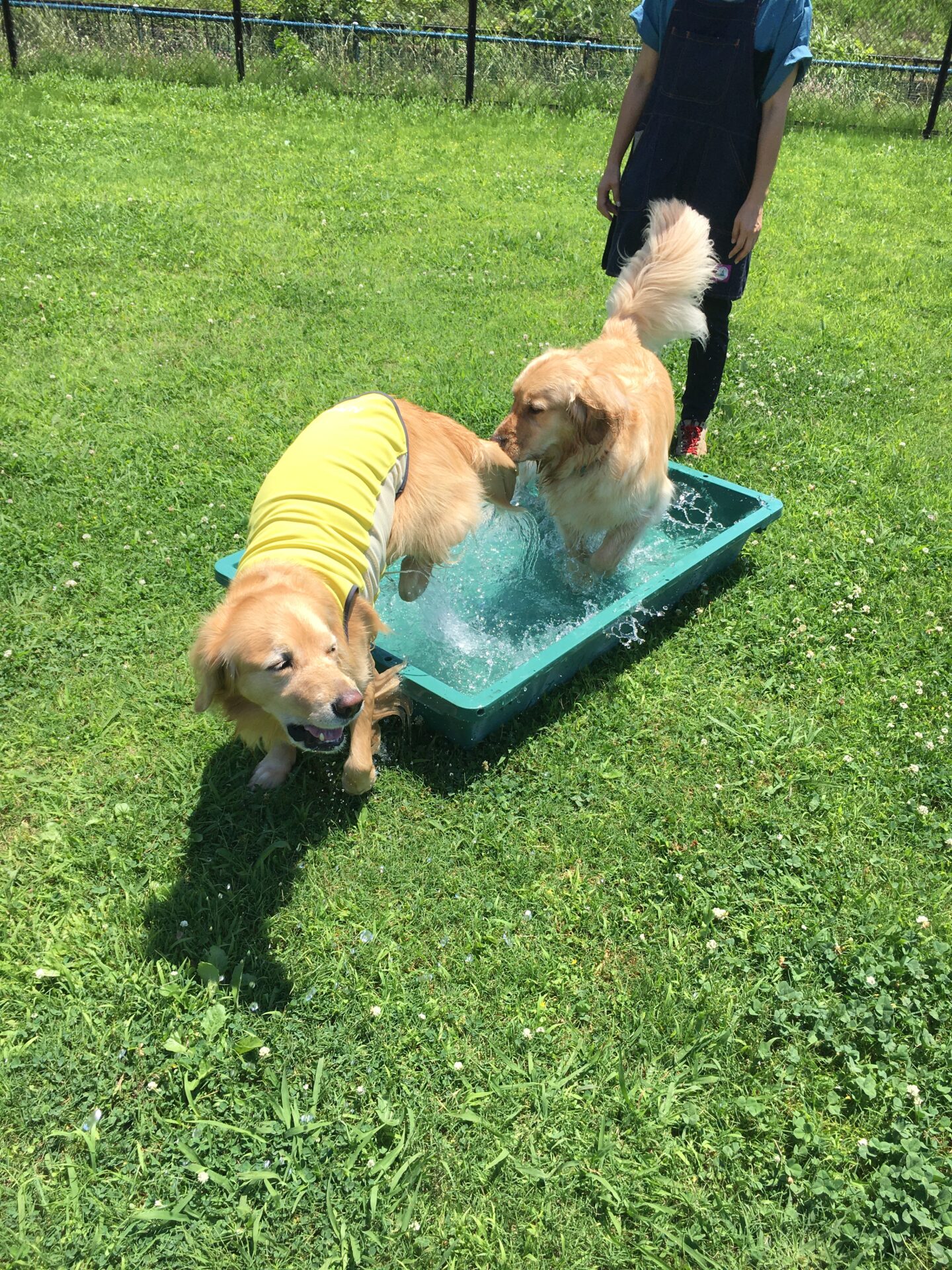 ファイル 8591-3.jpeg