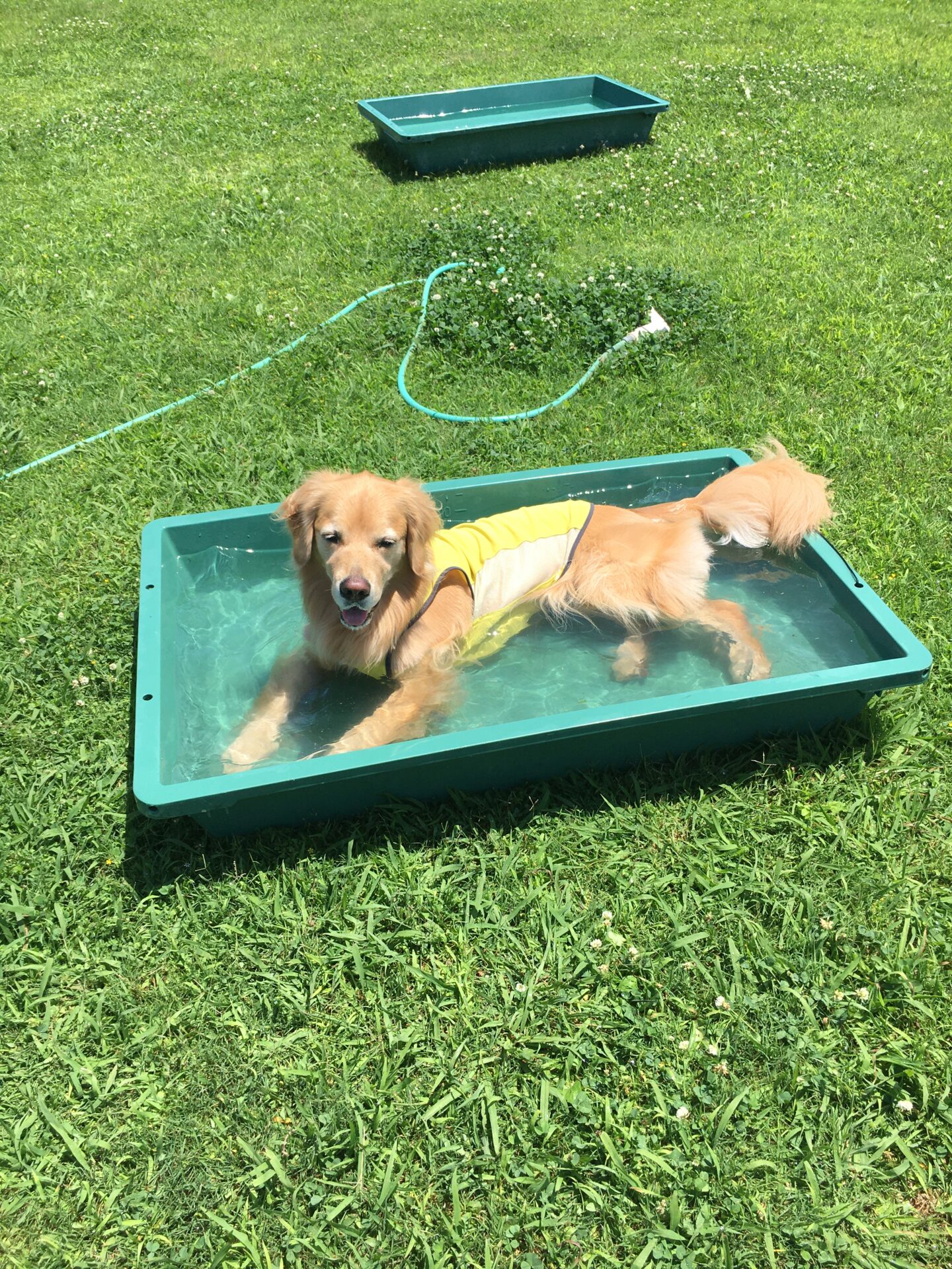 ファイル 8591-4.jpeg