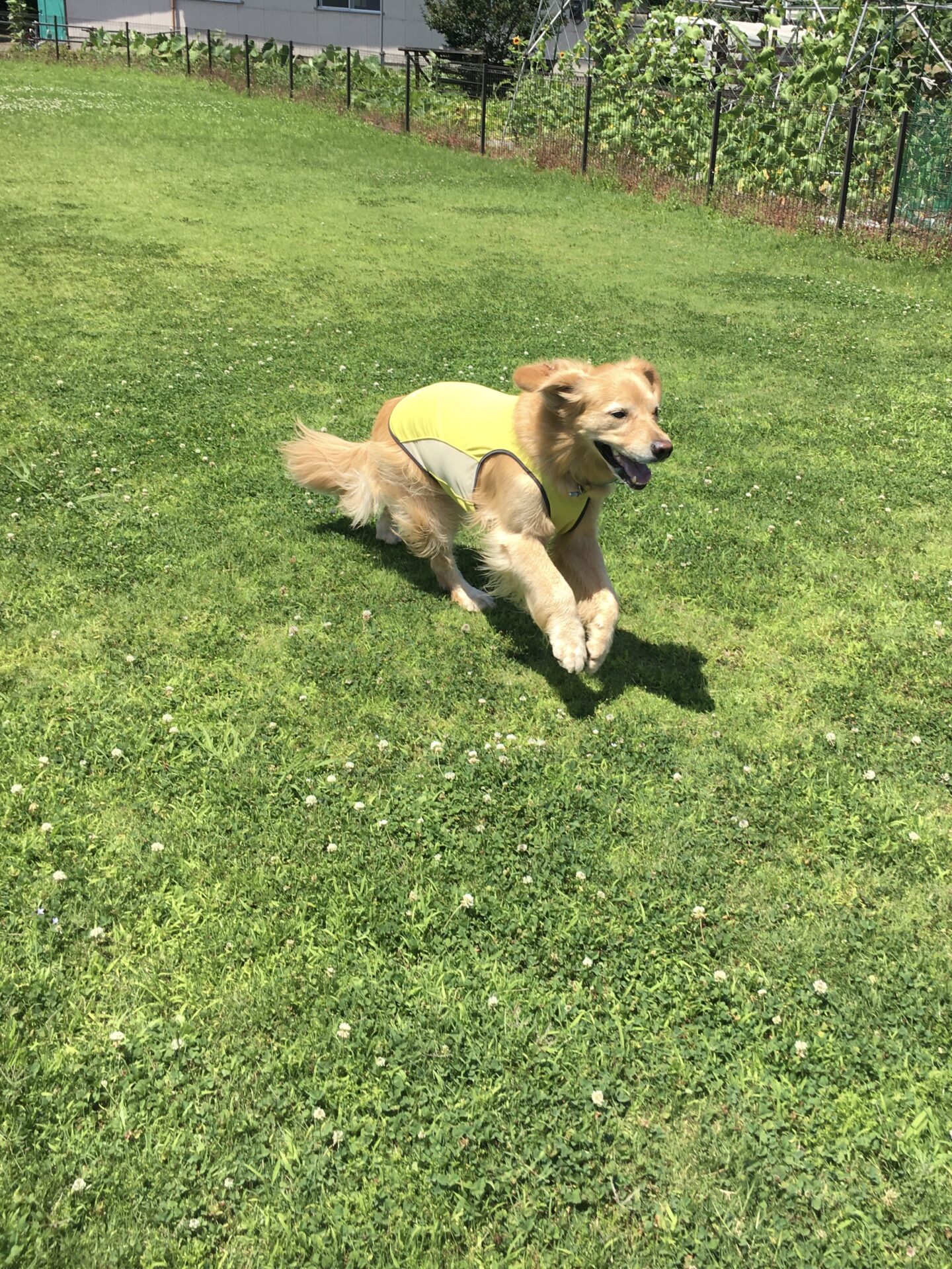 ファイル 8591-5.jpeg