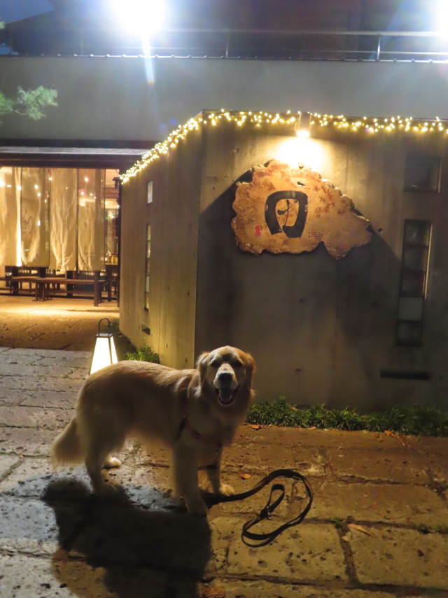 ファイル 8592-1.jpg