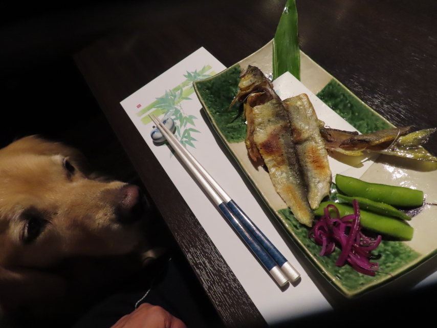 ファイル 8592-2.jpg