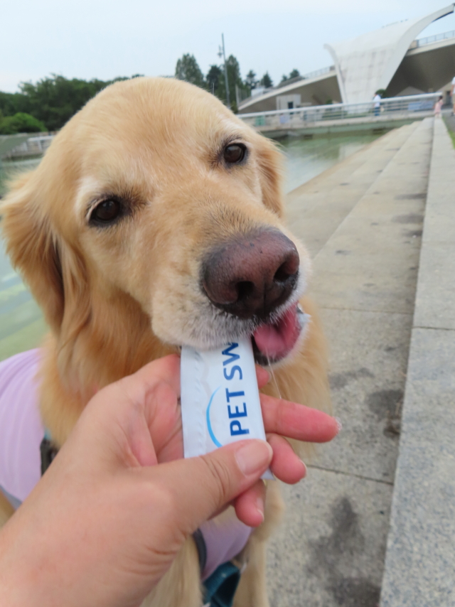 ファイル 8592-3.jpg