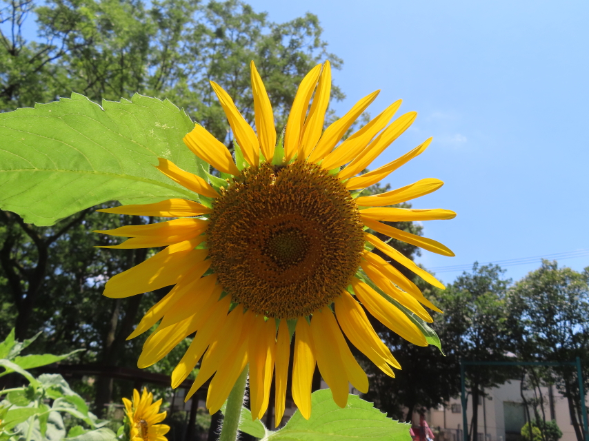 ファイル 8594-1.jpg