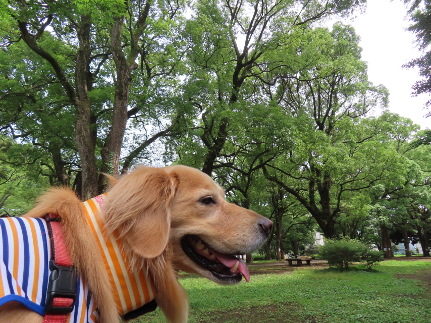 ファイル 8597-5.jpg