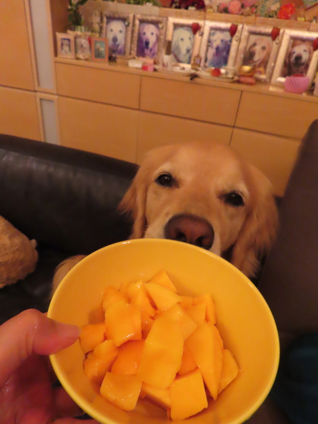 ファイル 8598-5.jpg