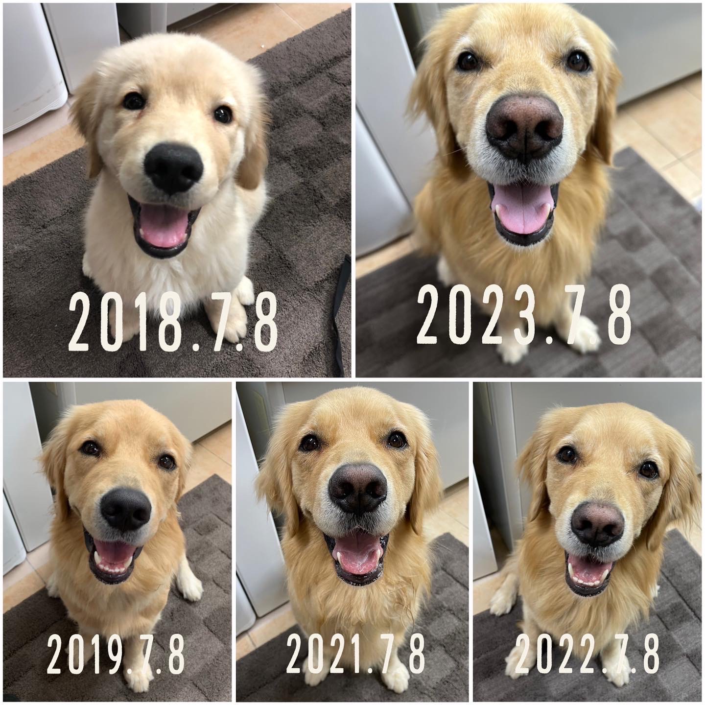 ファイル 8599-2.jpg