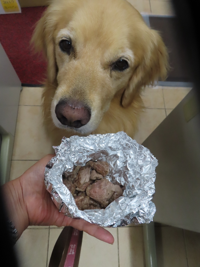 ファイル 8599-5.jpg