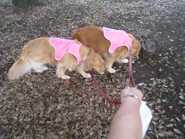 ファイル 860-1.jpg