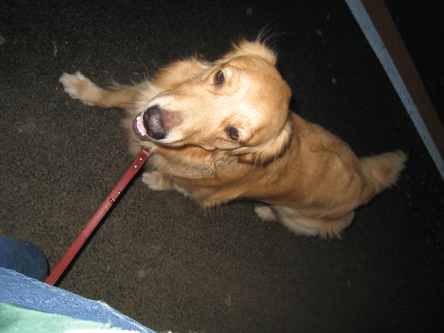 ファイル 860-2.jpg