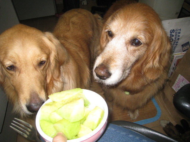 ファイル 860-3.jpg