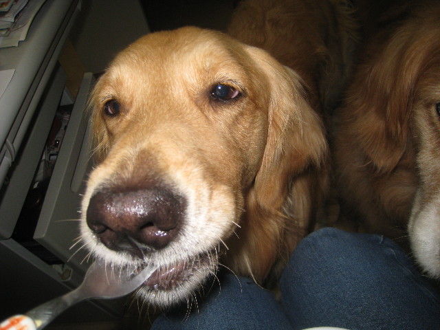 ファイル 860-4.jpg