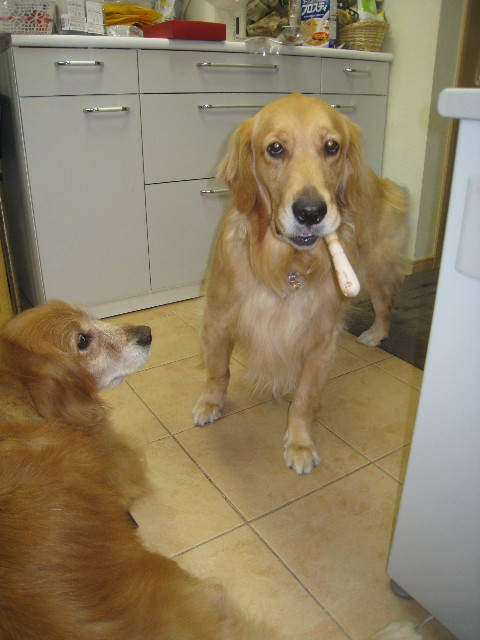 ファイル 860-5.jpg