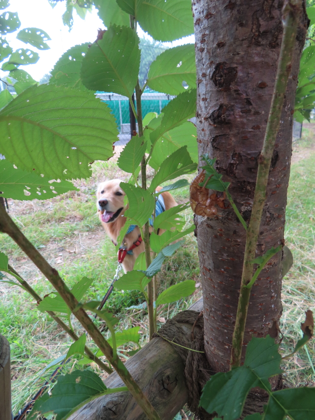 ファイル 8602-3.jpg