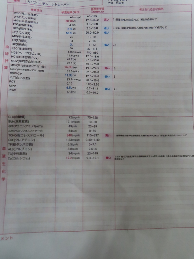 ファイル 8603-2.jpg